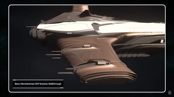 Wing decoration - Star Citizen