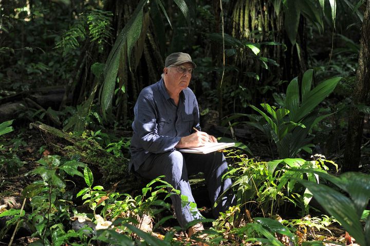 Francis Hallé dans le film de Luc Jacquet, "Il était une forêt", 2012 (Tristan Jeanne-Valès Bonne Pioche Cinéma 2013)
