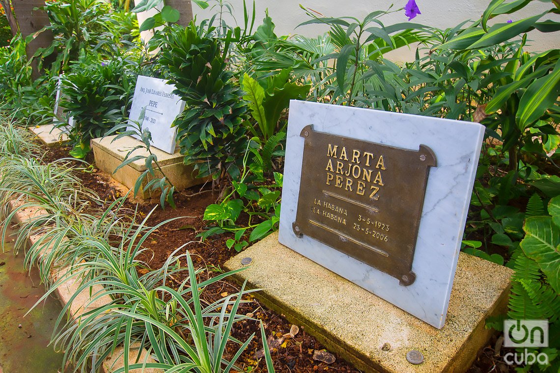 Funeral plaques in the Mother Teresa of Calcutta Garden, in Old Havana.  Photo: Otmaro Rodríguez.