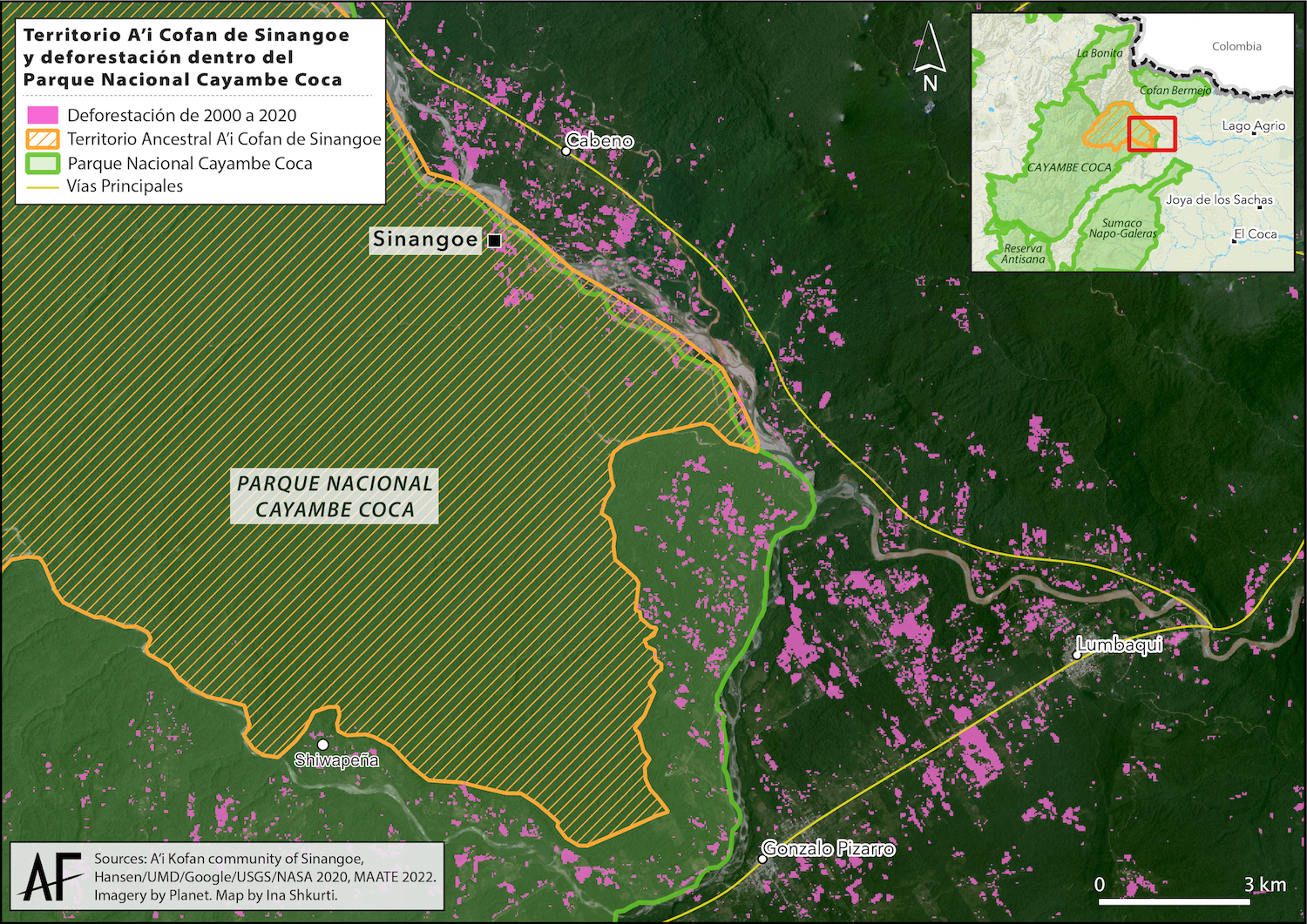 El territorio Cofan de Sinangoe se ha mantenido protegido pero las huellas de la deforestación han rodeado su territorio, según muestran estos datos entre el 2000 y el 2020. Mapa: Elaboración Amazon Frontlines.