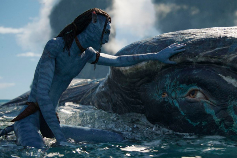Pandora's whales have a very important role in "Avatar 2"