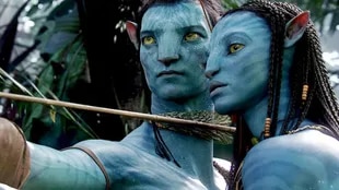 Many analysts and James Cameron himself see in the Avatar saga a parallelism with the colonial history of the United States, and the advance of the white man on the indigenous peoples