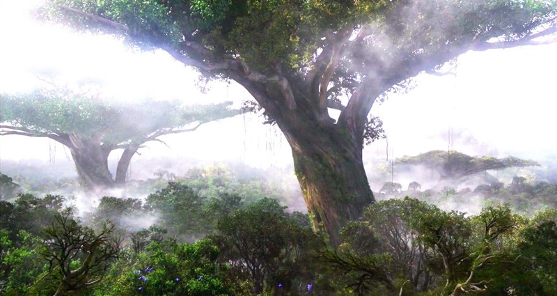 A landscape view of the planet Pandora in the movie Avatar